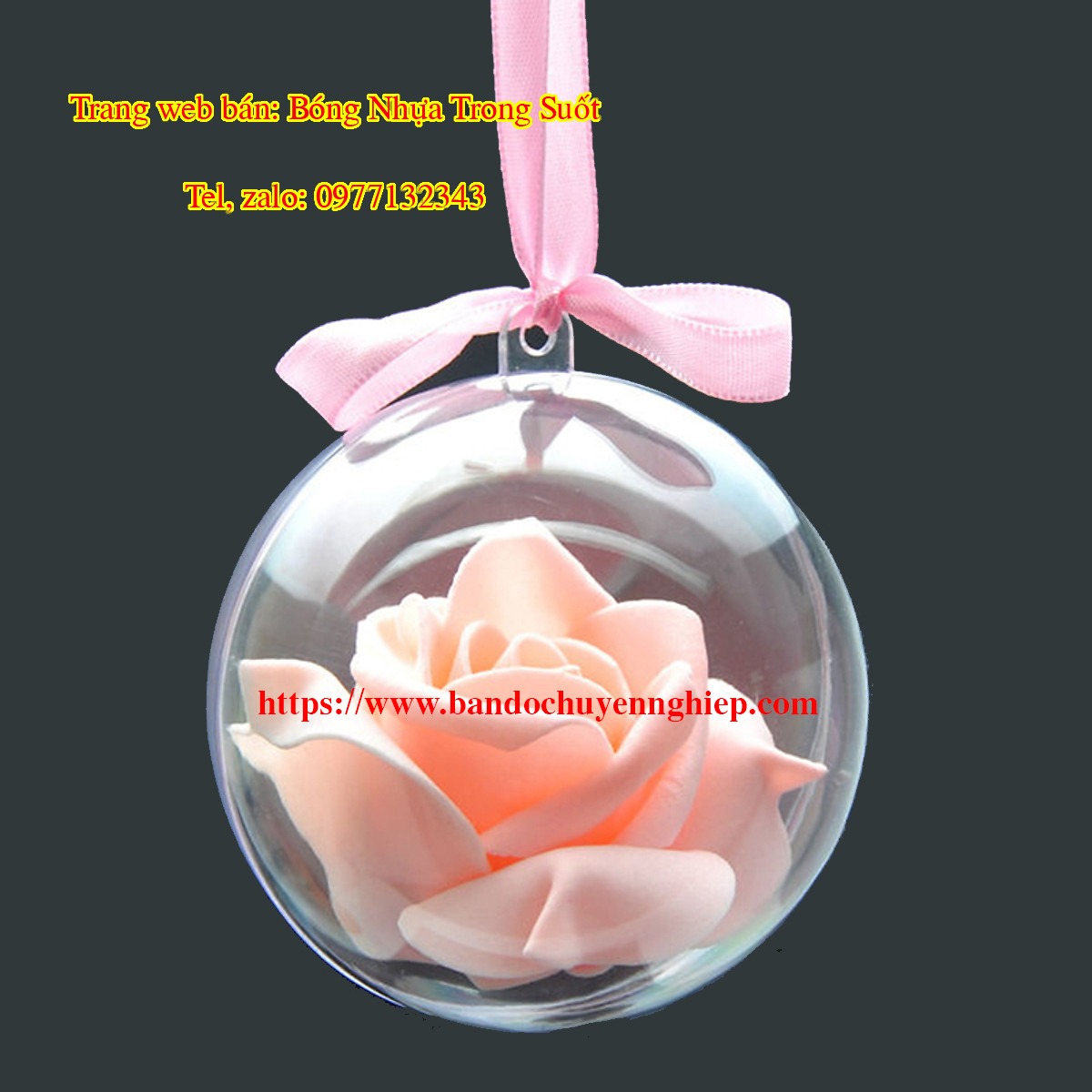 bandochuyennghiep.com